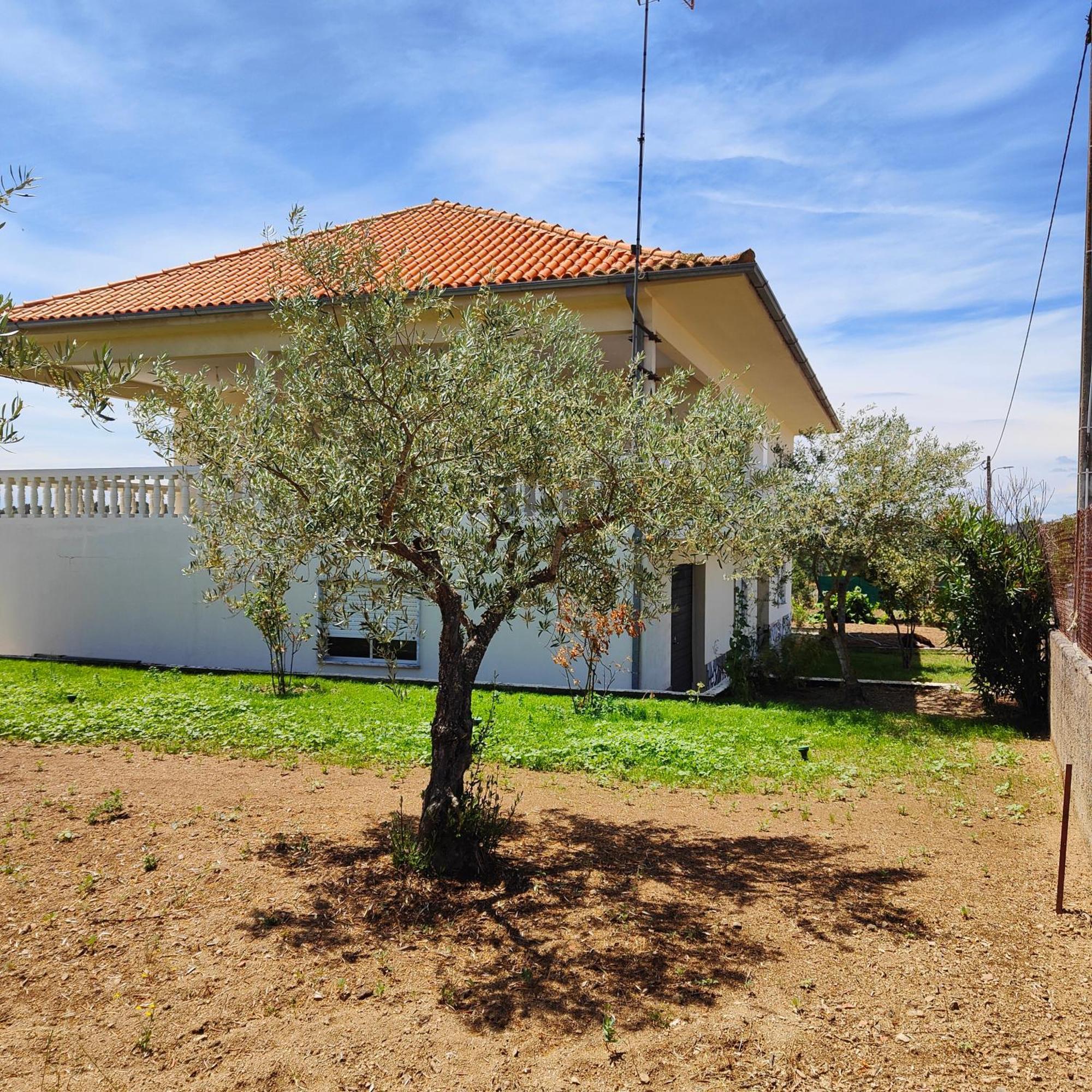 Villa Mendes Oliva ألميدا المظهر الخارجي الصورة