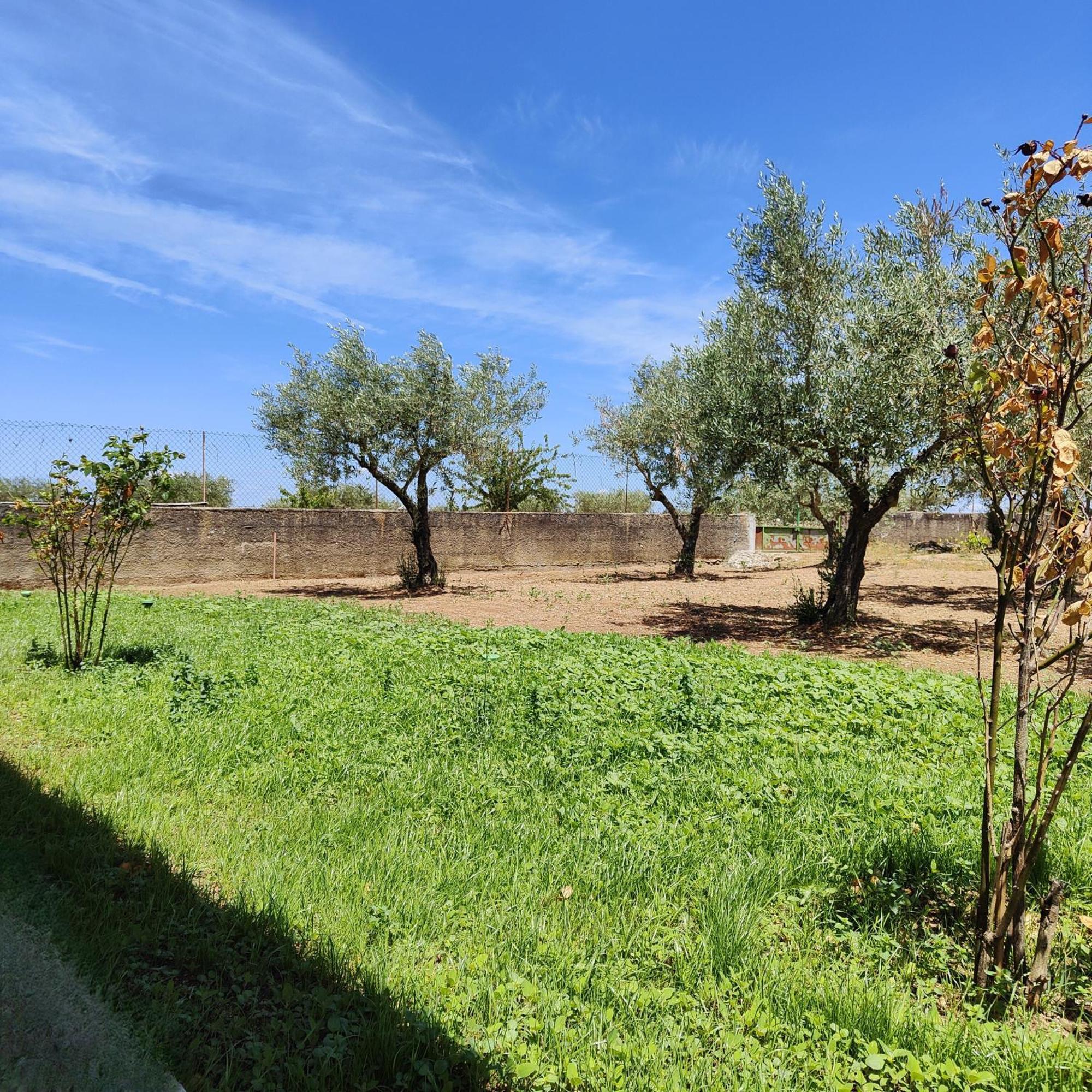 Villa Mendes Oliva ألميدا المظهر الخارجي الصورة